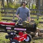 Best 5 Gas Wood & Log Splitters You Can Buy In 2020 Reviews